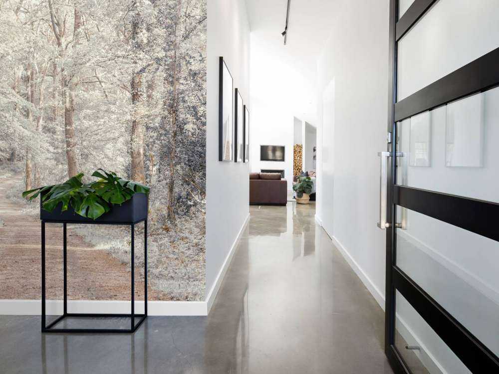 Ścieżka przez zielony las