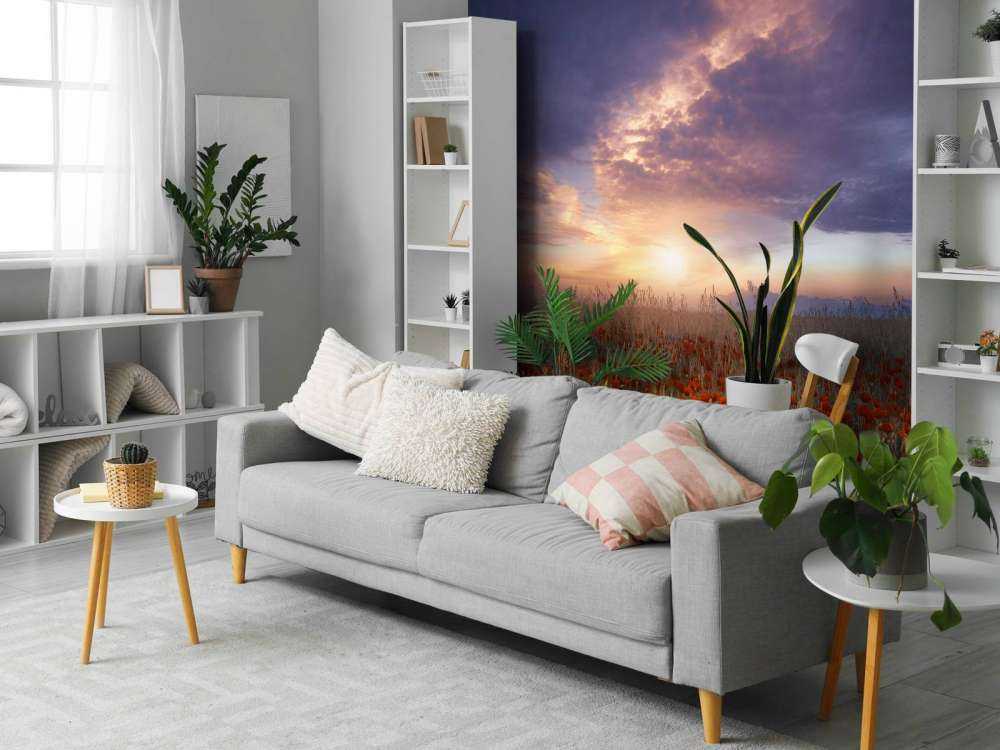 Between color and light