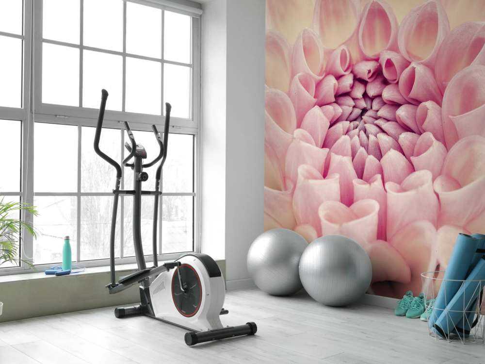 Zdjęcie z bliska dalii