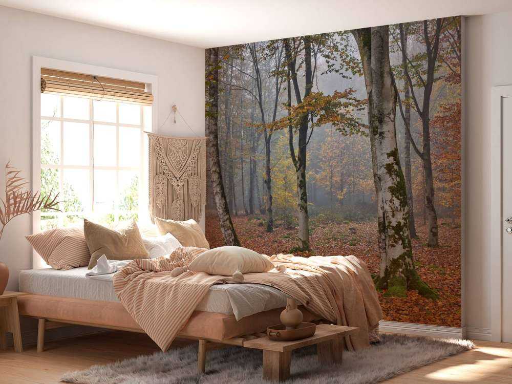 Jesienny las brzozowy