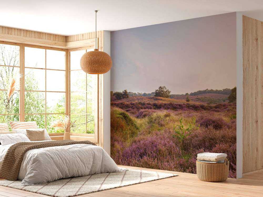 Heathland o wschodzie słońca