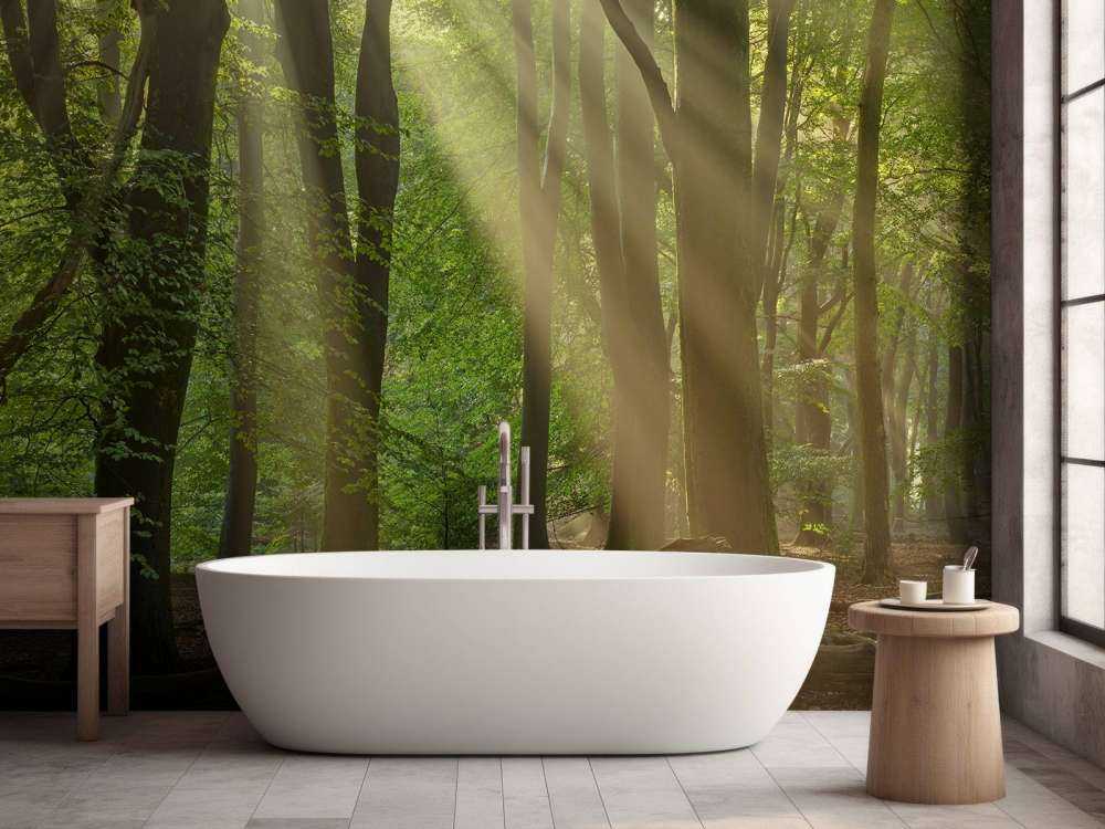 Harfy słoneczne w lesie