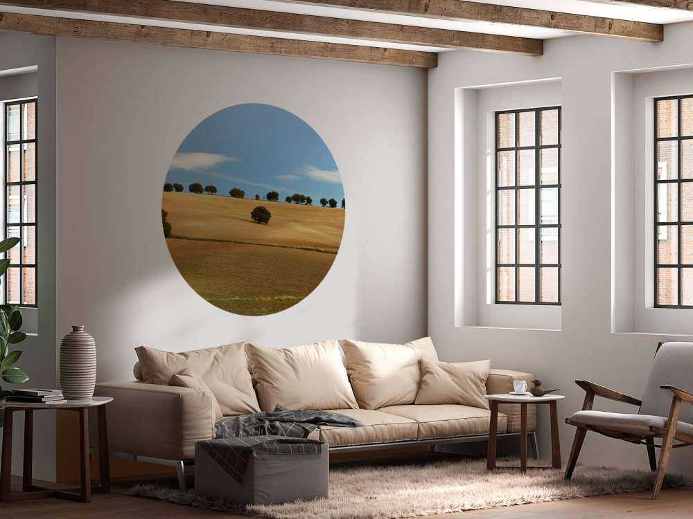 Drzewa w hiszpańskim krajobrazie