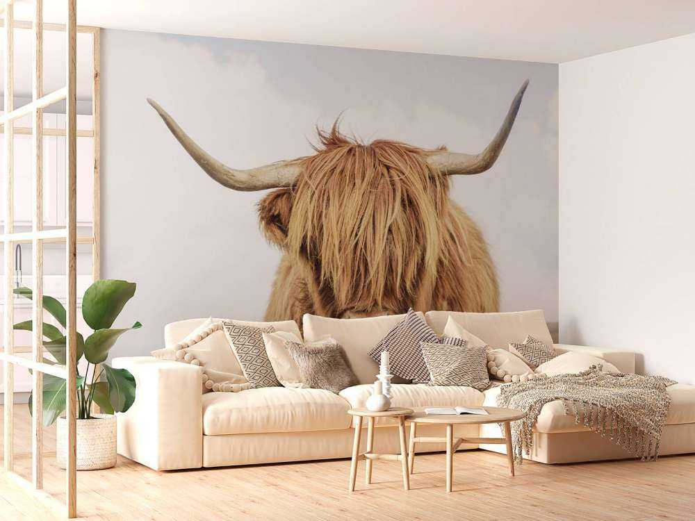 Zbliżenie na szkocką rasę wyżynna