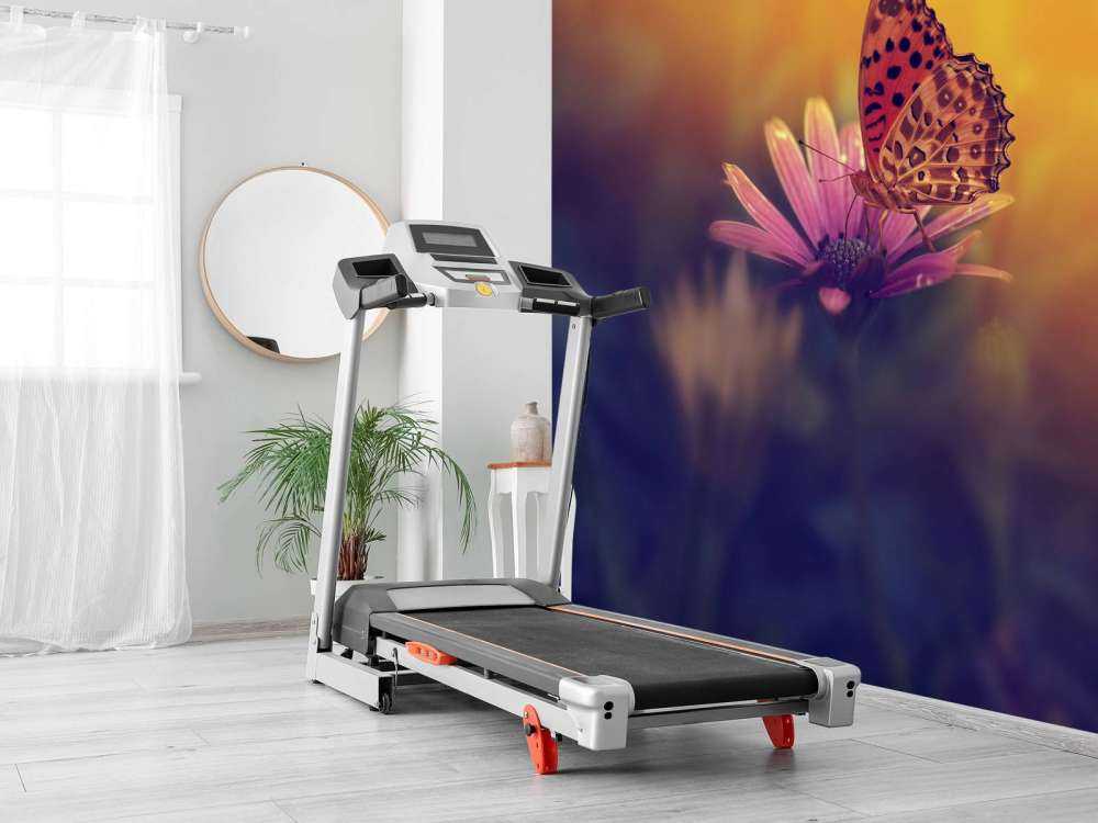 Czerwony motyl na kwiatku