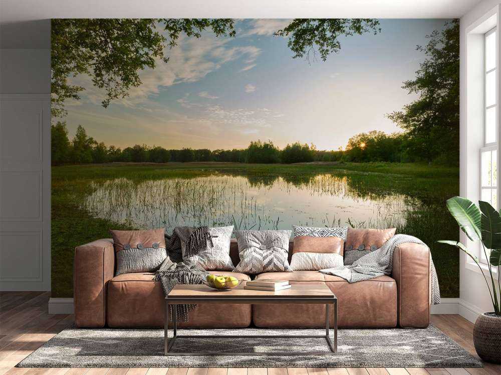 Zachód słońca w lesie