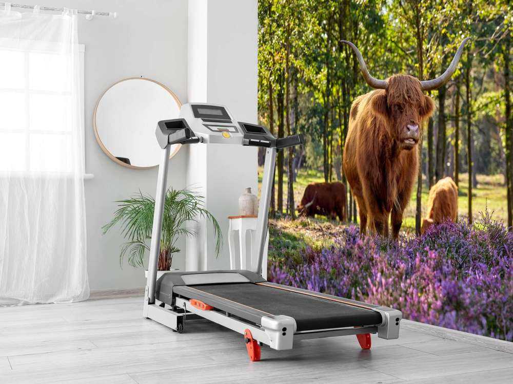 Wyżynny w rezerwacie przyrody