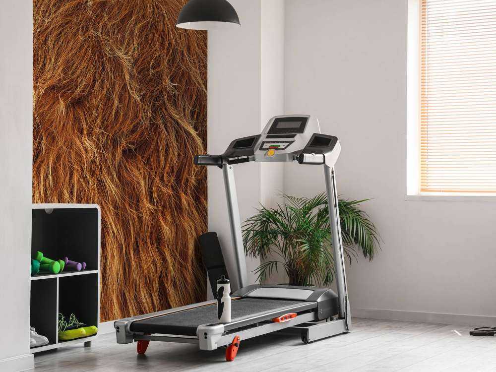 Szkocka sierść wyżynna w stylu vintage 