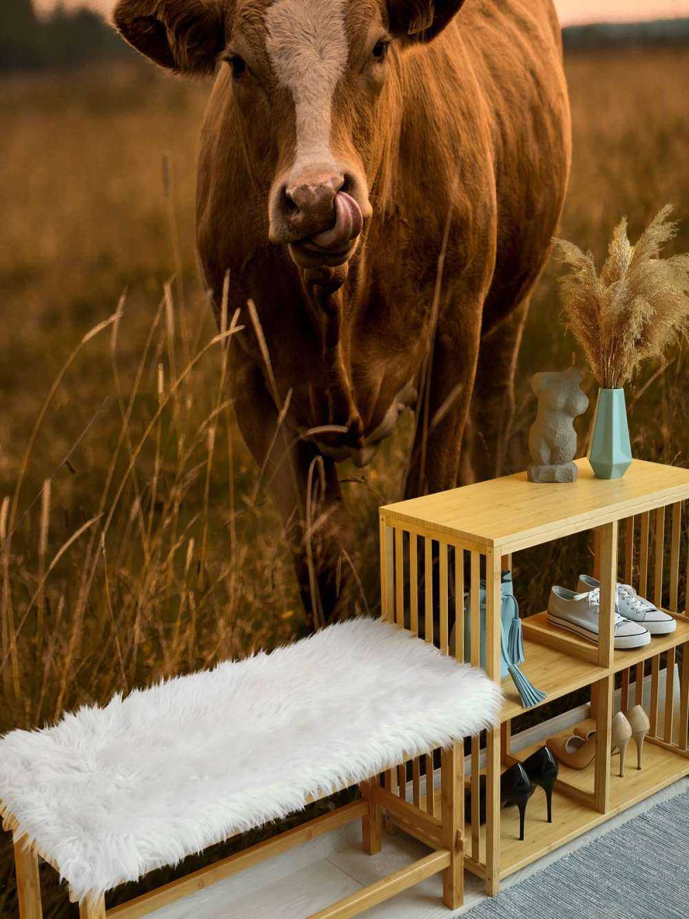 Krowa z językiem w nosie