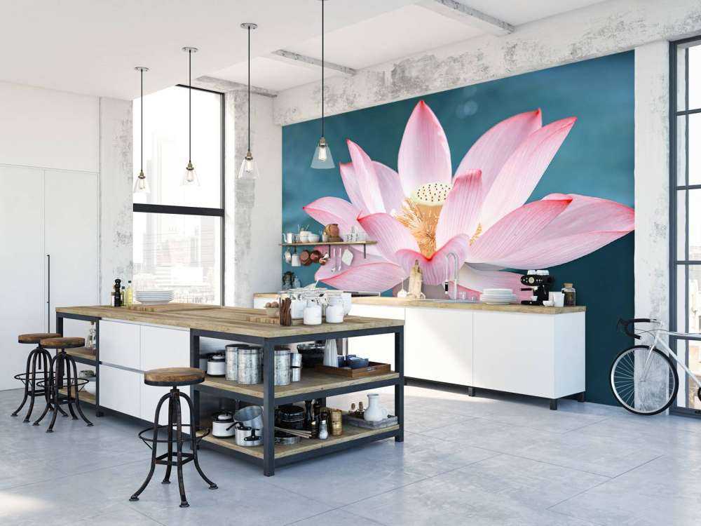 Kwiat lotosu w zbliżeniu