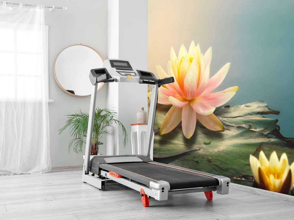 Staw z kwiatami lotosu