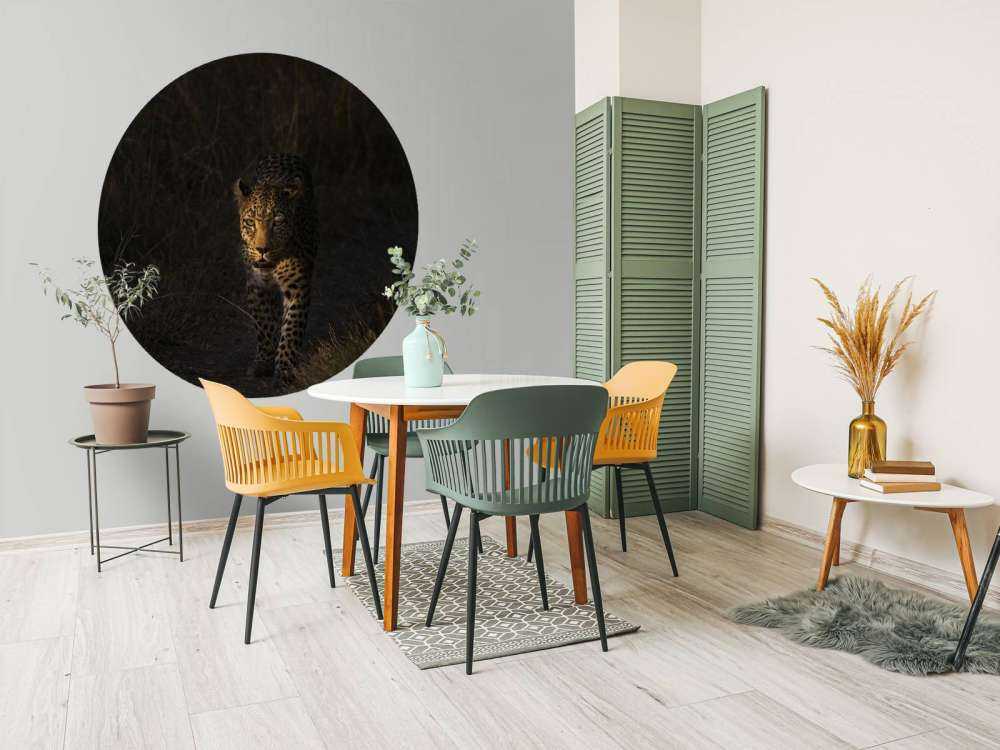 Lampart na tle zachodzącego słońca