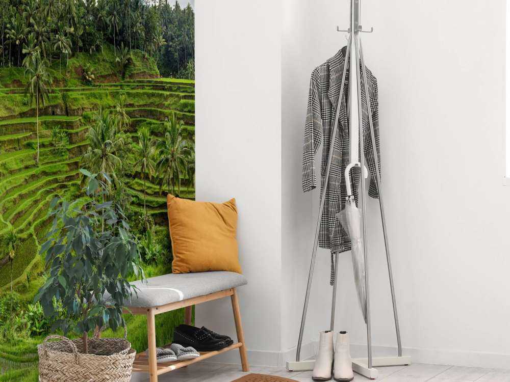 Tajlandzkie pola ryżowe