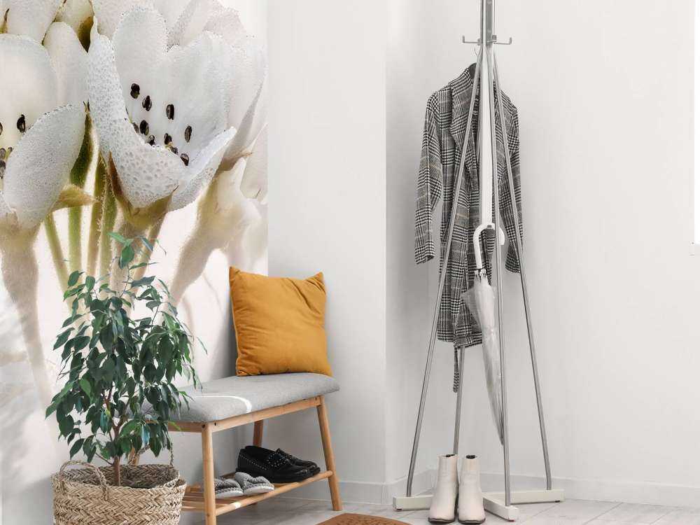 Zbliżenie kwiatu gruszki