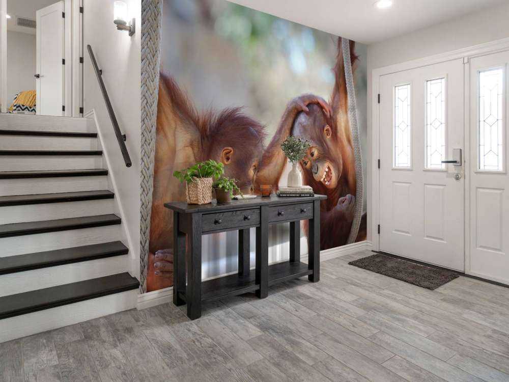 Dziecięce orangutany