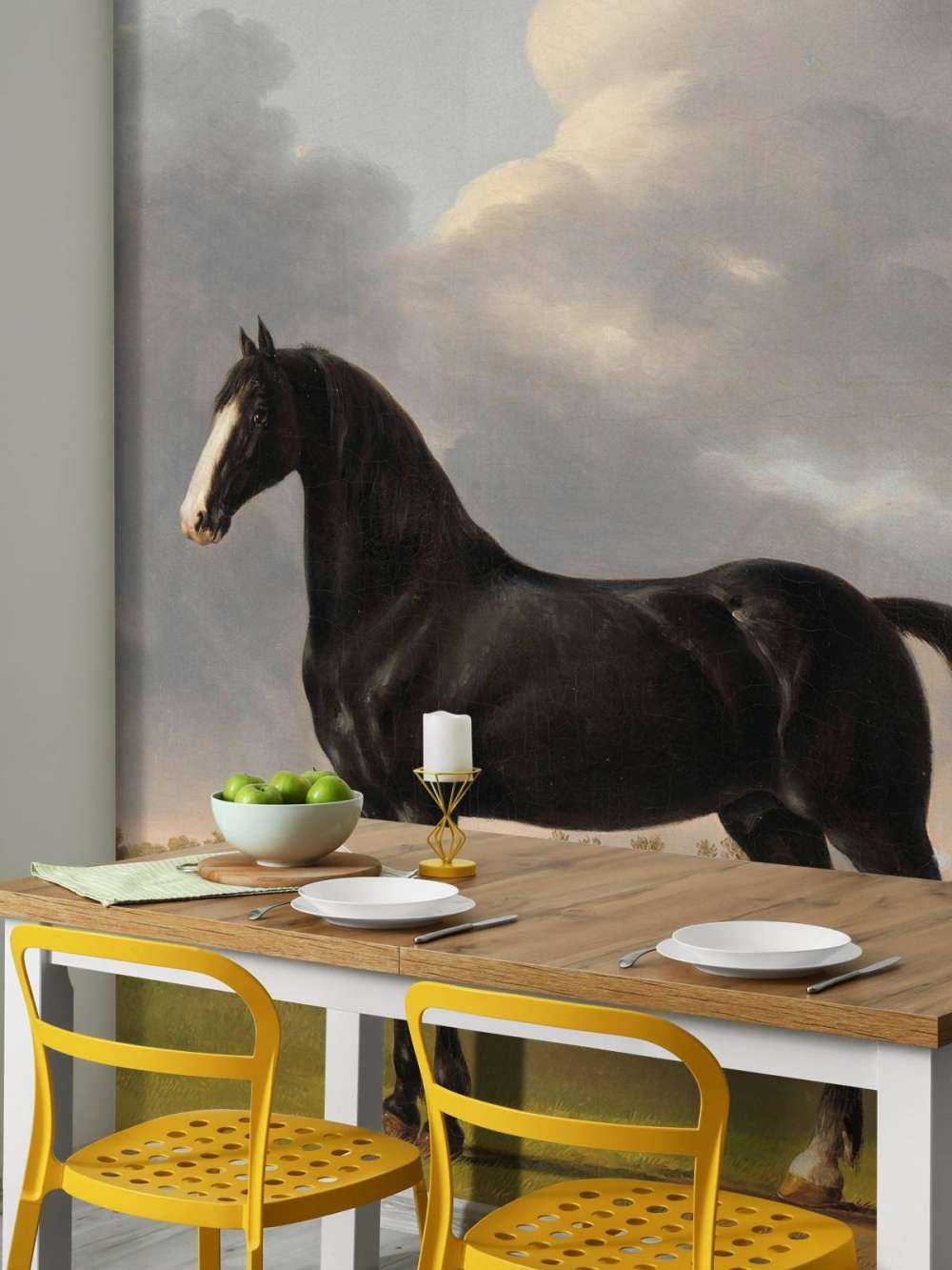 Fototapetowy koń. Szuflada hardwaru De Vlugge