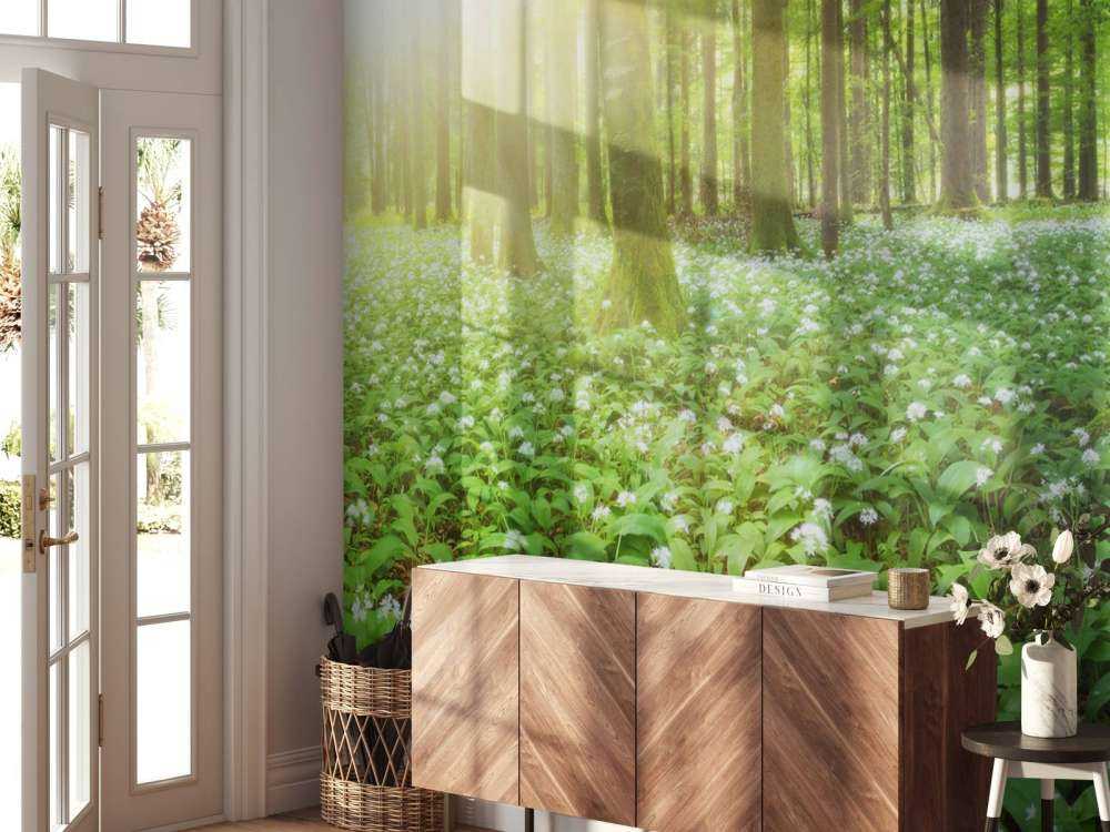 Dziki las o wschodzie słońca