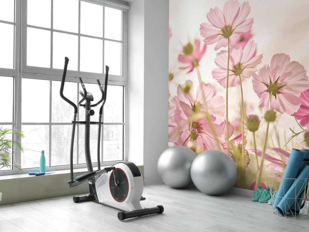 Piękny ogródek kwiatowy