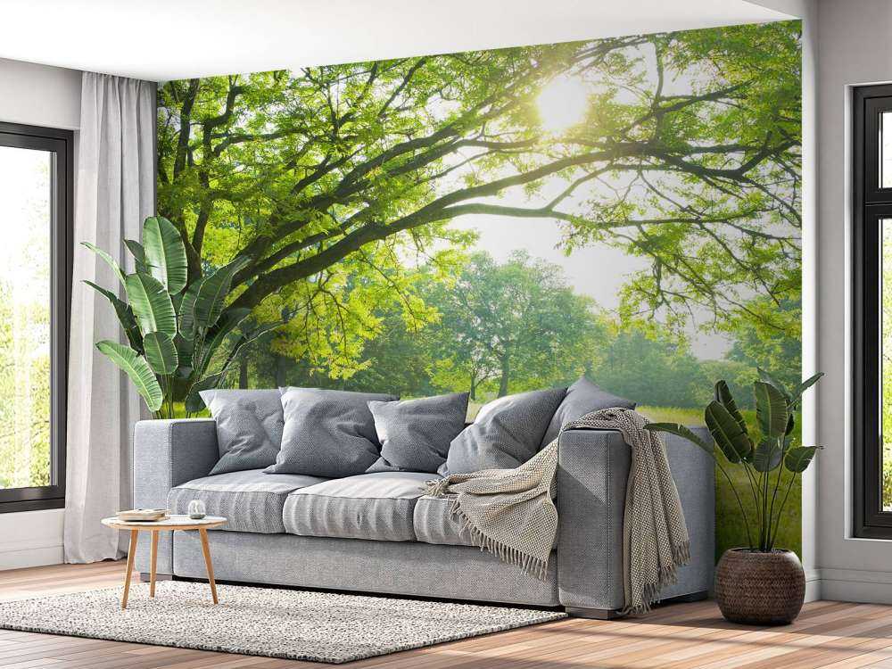 Piękne drzewo z zieloną trawą