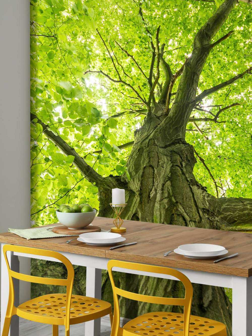 Duże drzewo w lesie