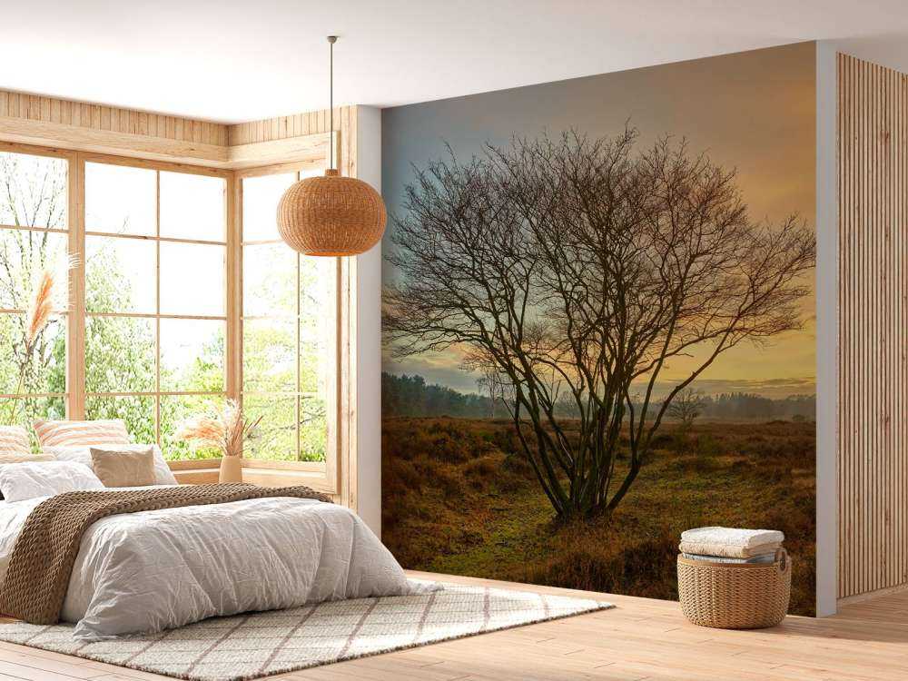 Wschód słońca na wrzosowisku