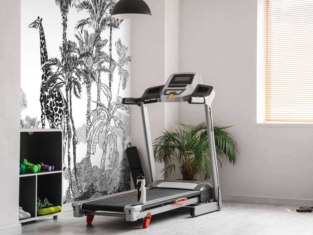 Naszkicowane zwierzęta w dżungli