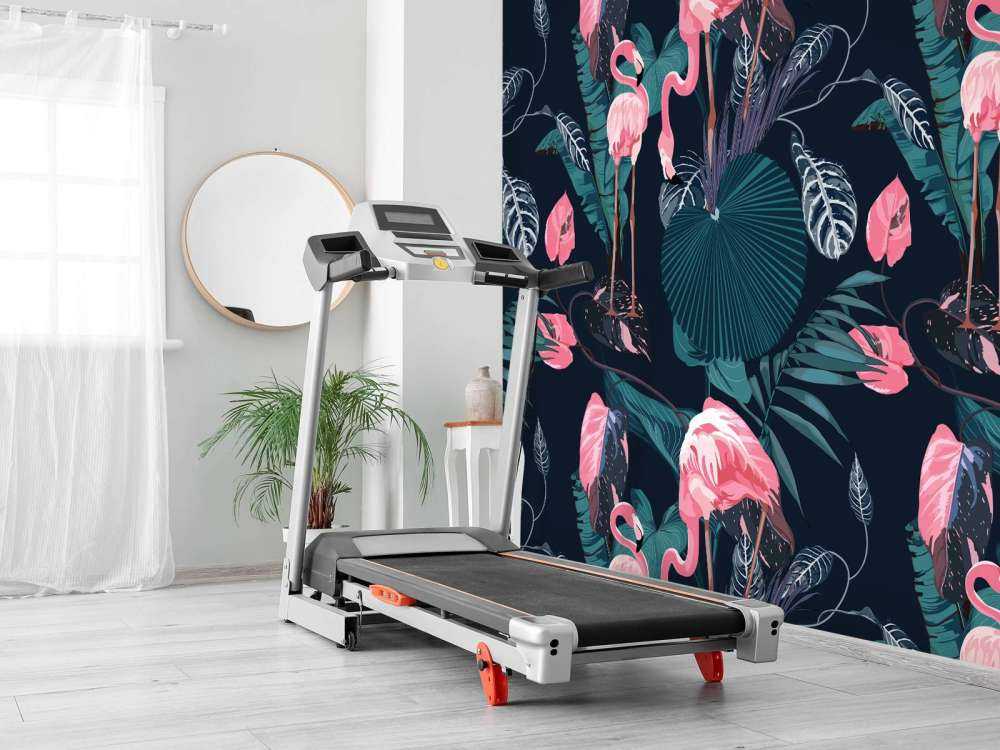 Dzikie różowe flamingi