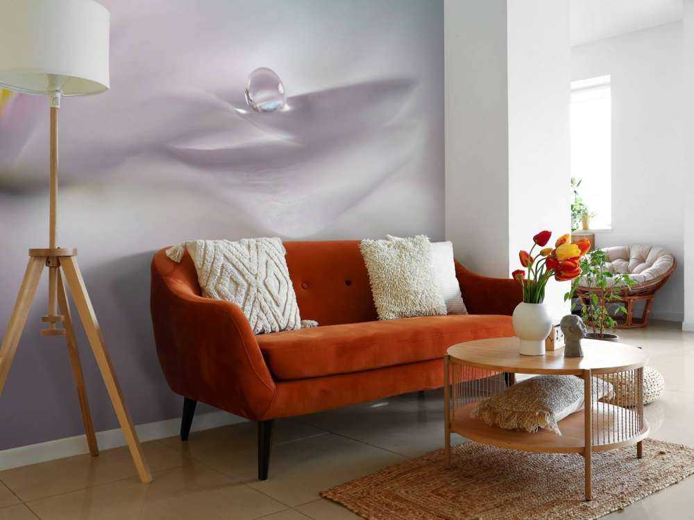 Where dreams come true