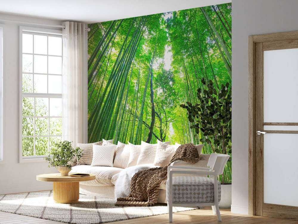 Las bambusowy w Arashiyama