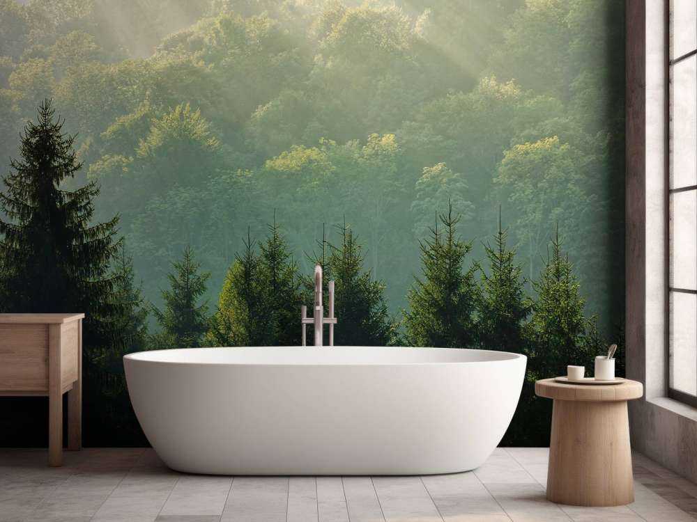 Promienie słońca nad lasem