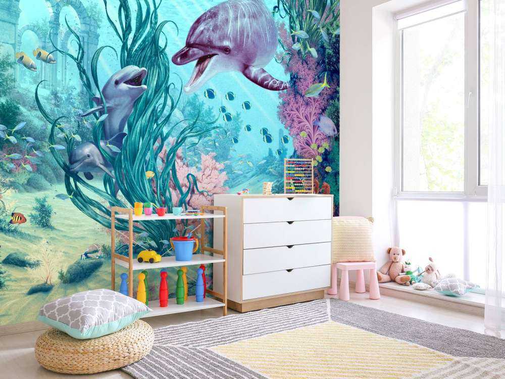 Hide And Seek Dolphins