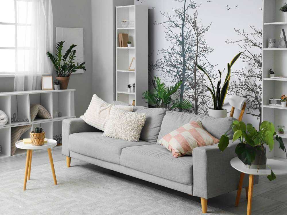 Kontur zimy Leśna cisza