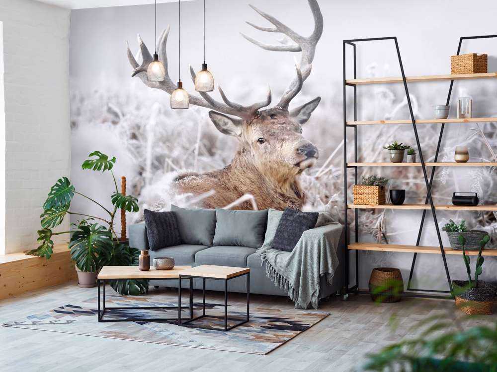 Zimowy sen jelenia szlachetnego