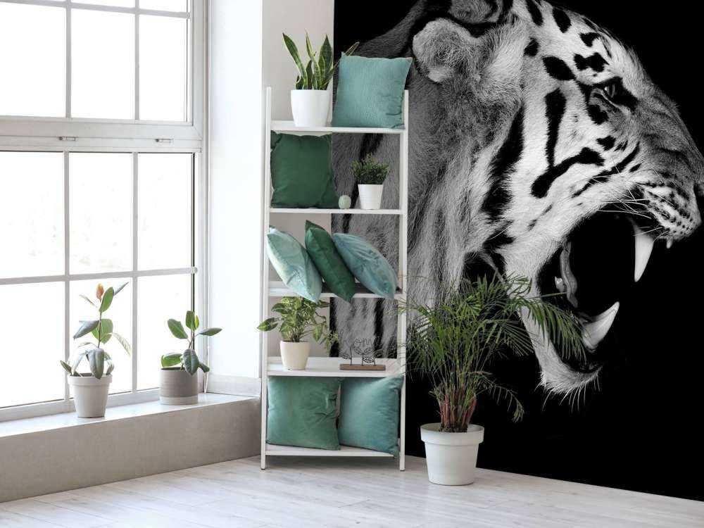 Ryczący tygrys czarny