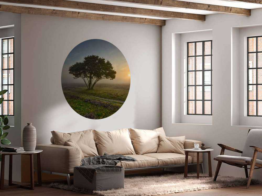 Wschód słońca na wrzosowisku