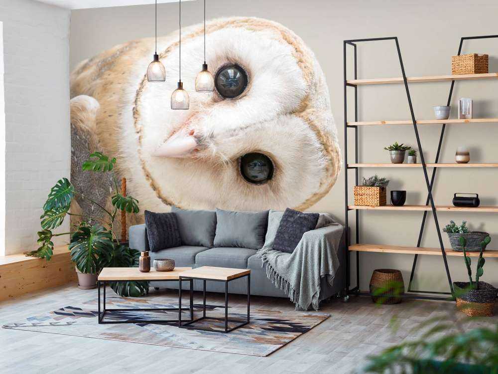 Sowa z przechyloną głową