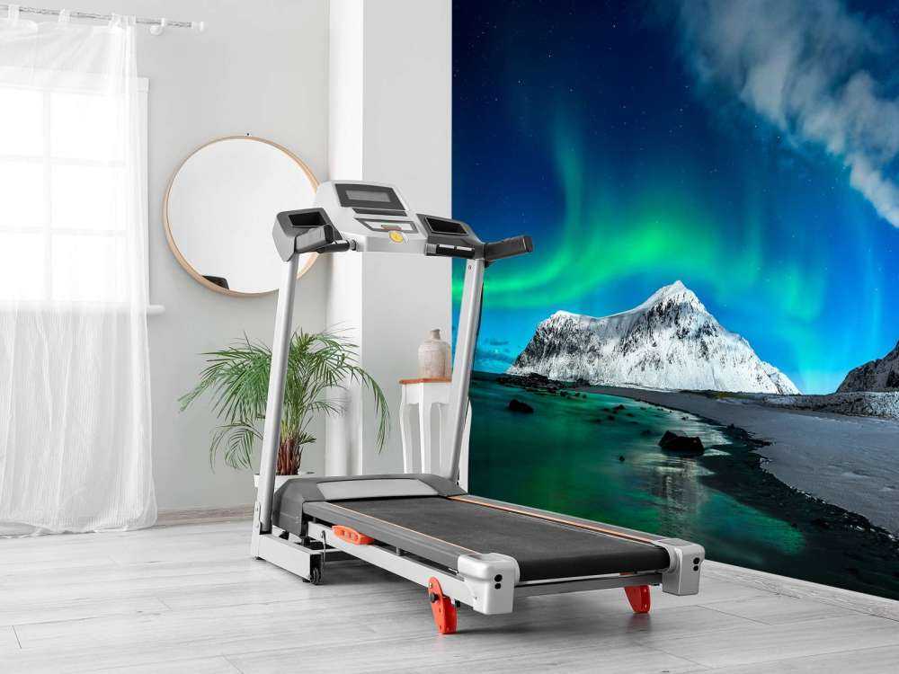 Zorze polarne nad górami