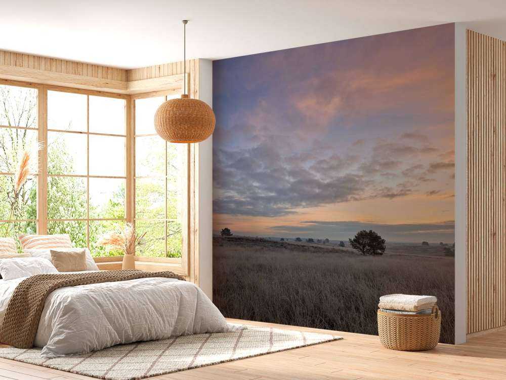 Trawy na wrzosowiskach