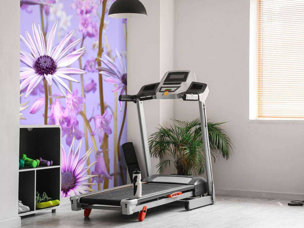 Kolorowe fioletowe kwiaty