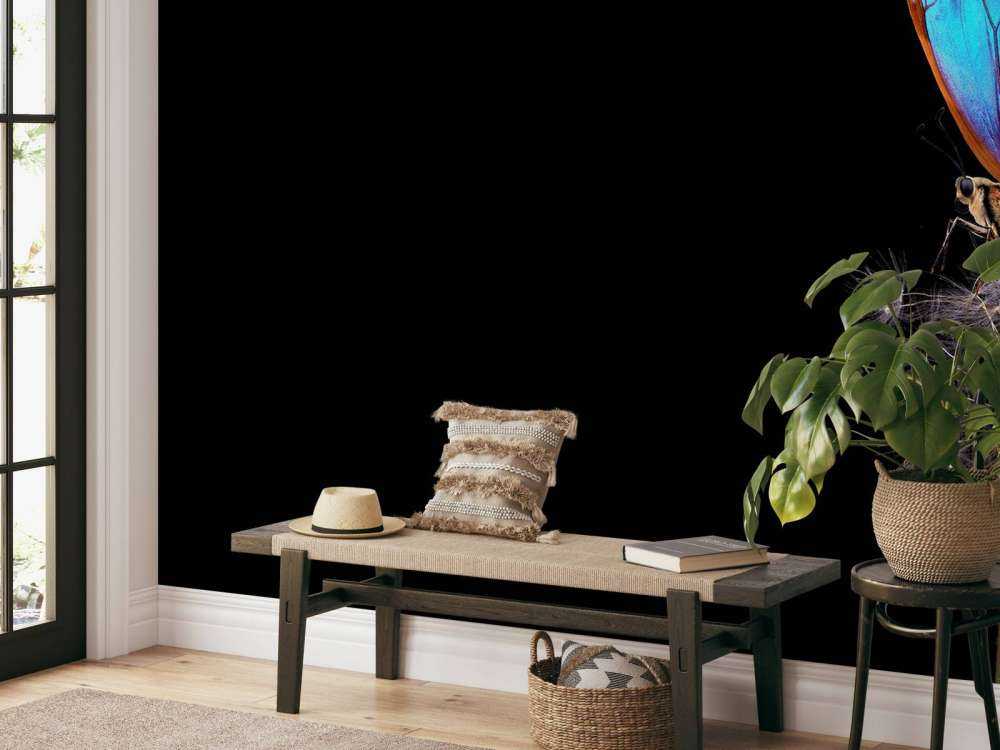 Niebieski motyl na mniszku lekarskim