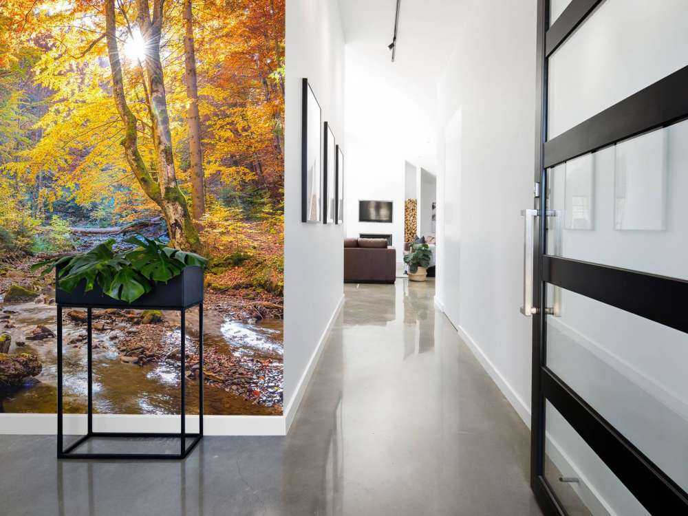 Jesień w dzikim lesie