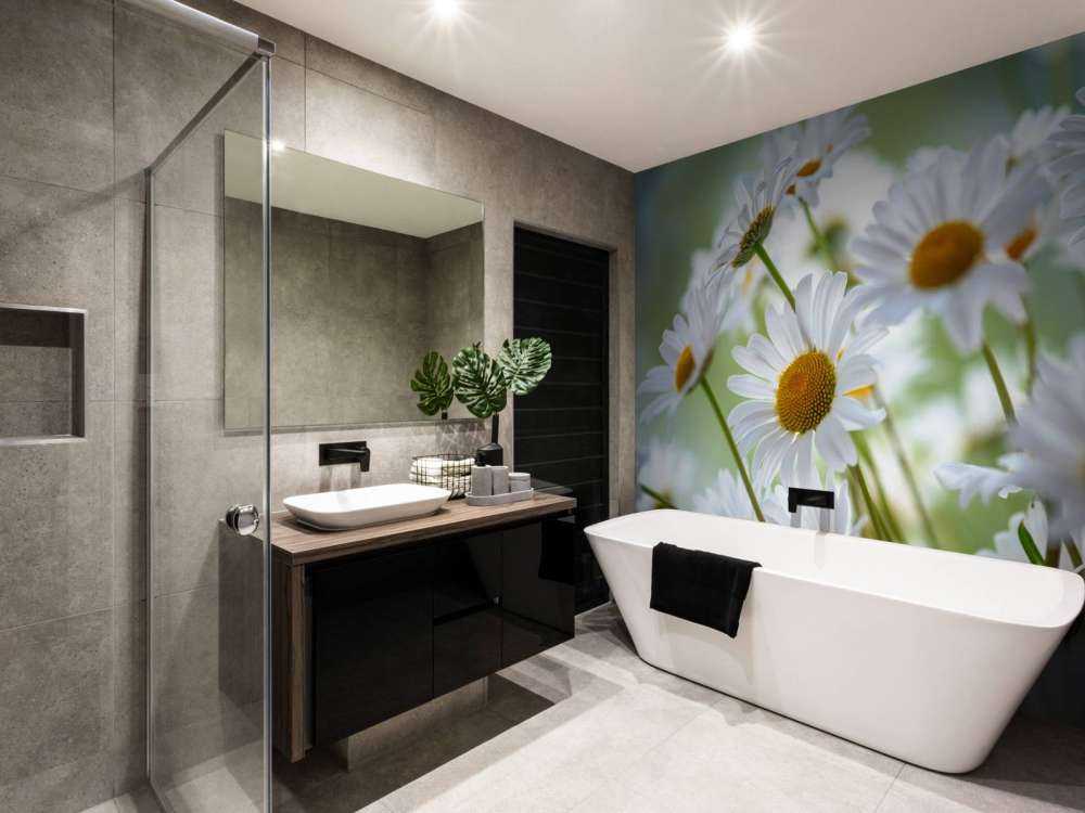 Stokrotki w zbliżeniu