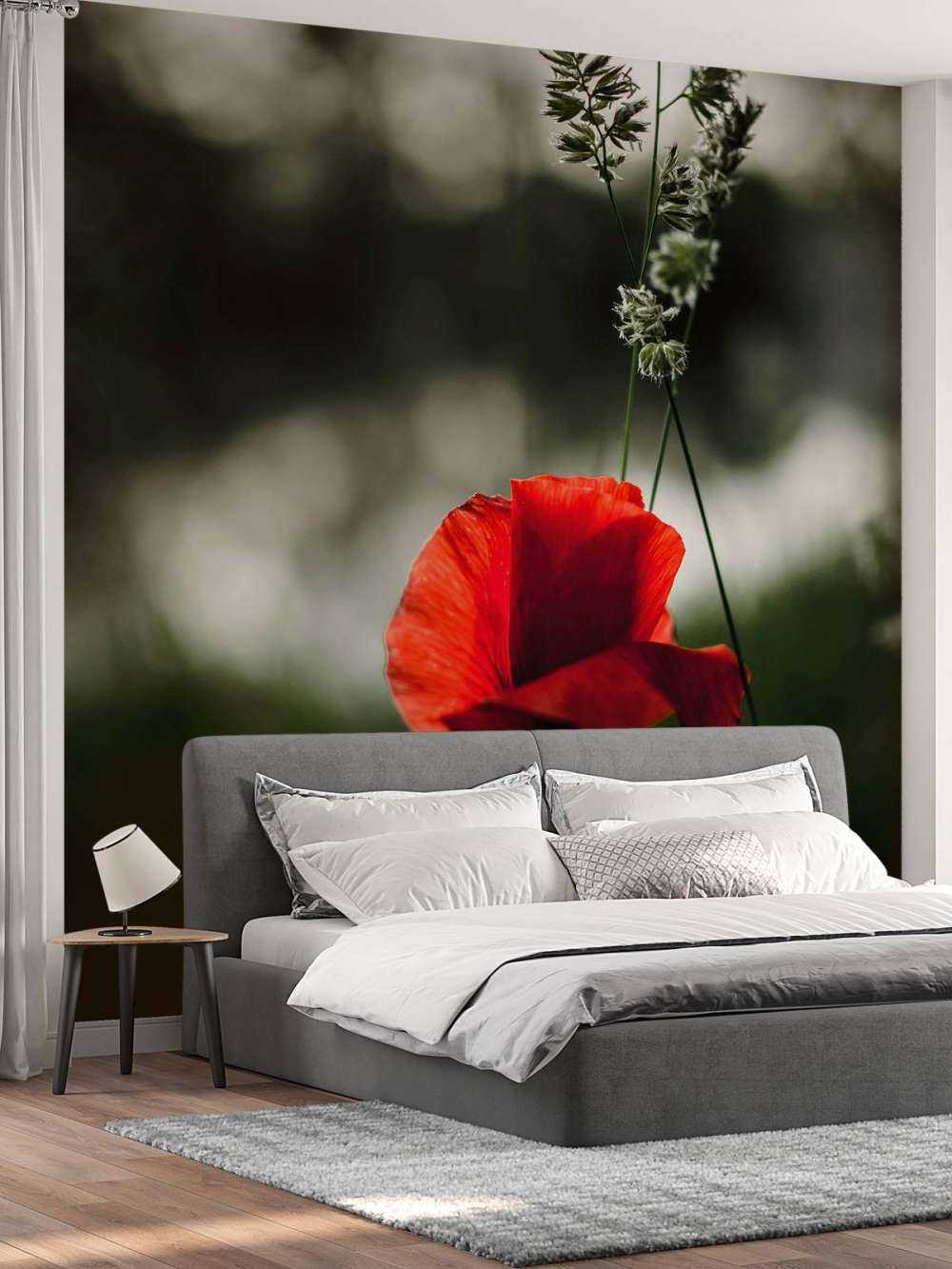 Czerwony mak z trawą