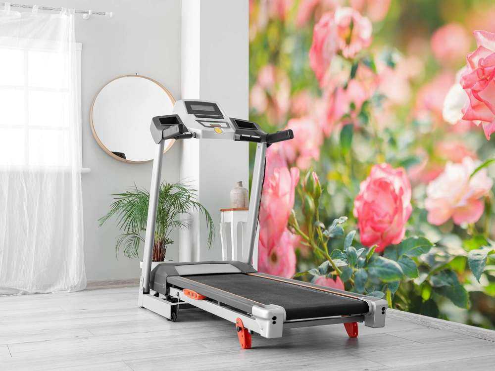 Jasnoróżowy krzew róży