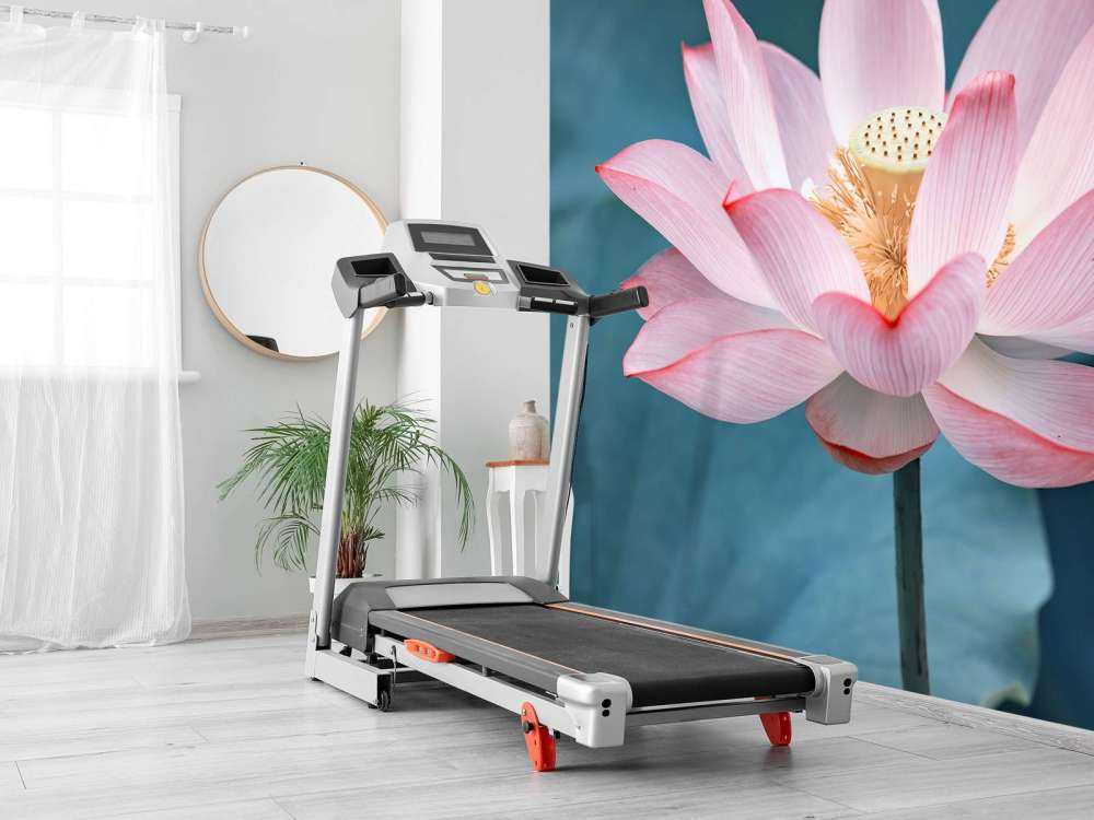 Kwiat lotosu w zbliżeniu