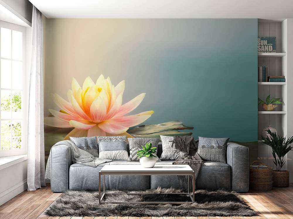 Staw z kwiatami lotosu