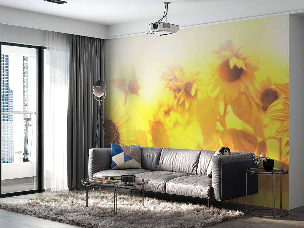 Słonecznikowa panorama