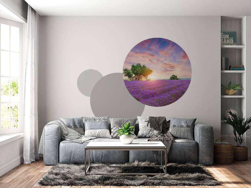 Pole lawendowe podczas wschodu słońca