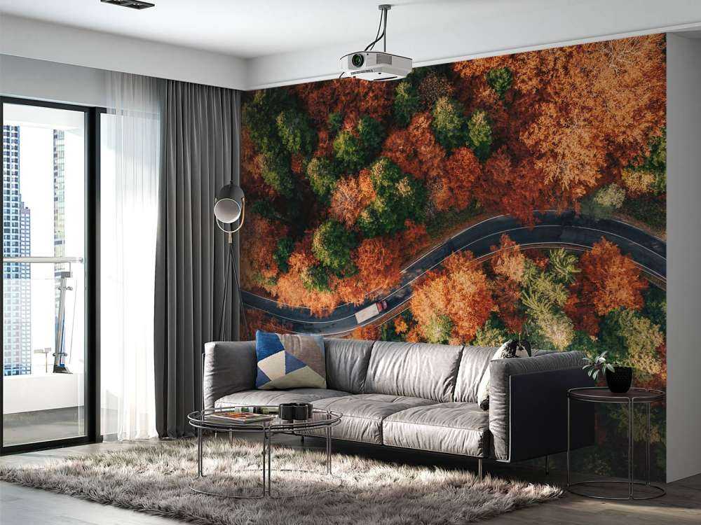 Droga wijąca się z ciężarówką