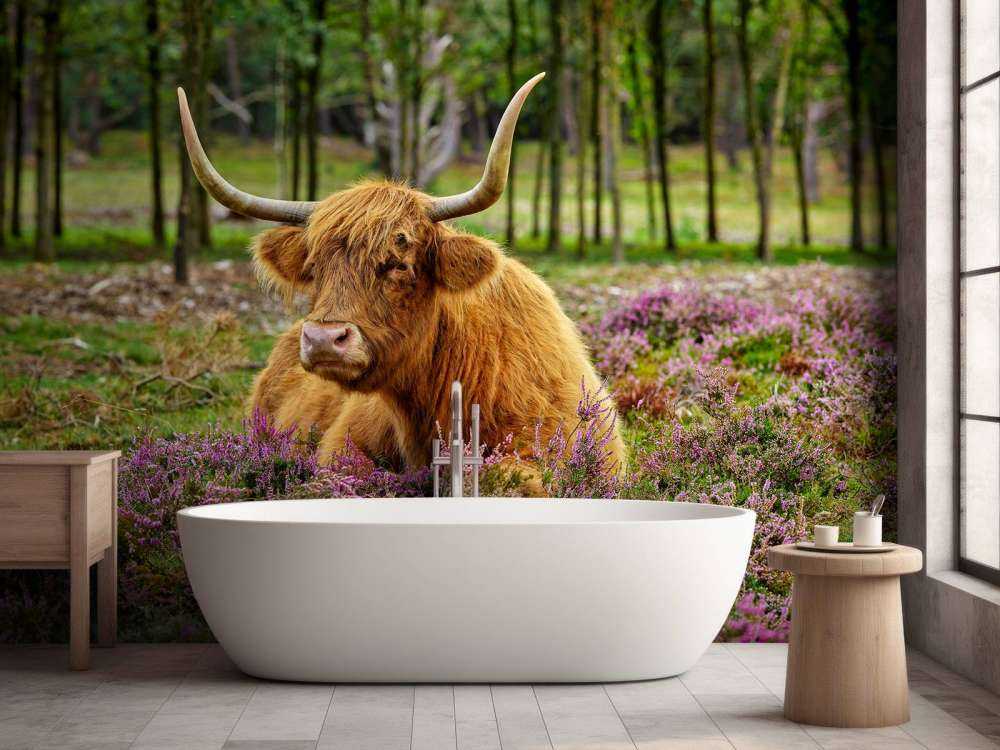 Szkocka rasa wyżynna między purpurowymi wrzosami